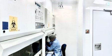 PCR a tiempo real